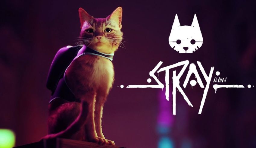 stray estreia em 2022