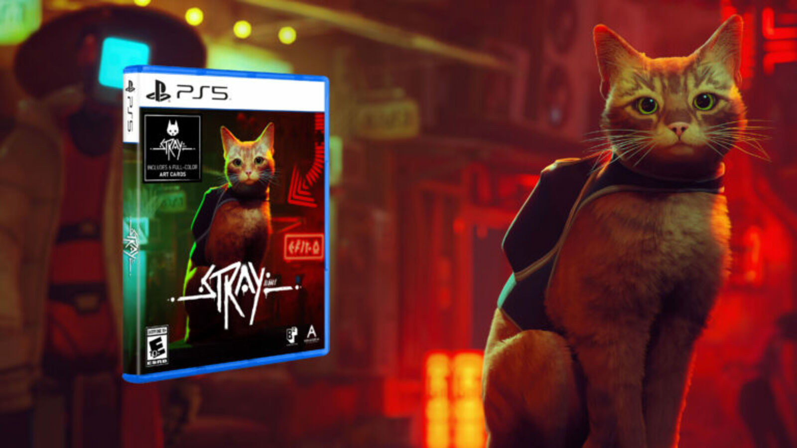 Stray - O Novo JOGO do GATO Exclusivo Playstation e PC - O Início no  Playstation 5 