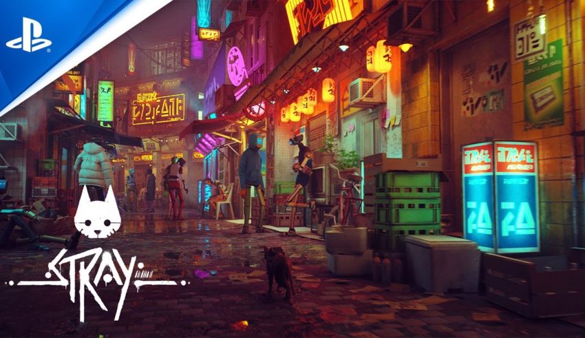 Stray chega como exclusivo de PlayStation