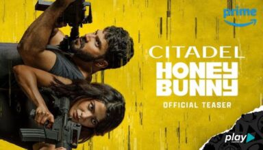 Citadel: Honey Bunny